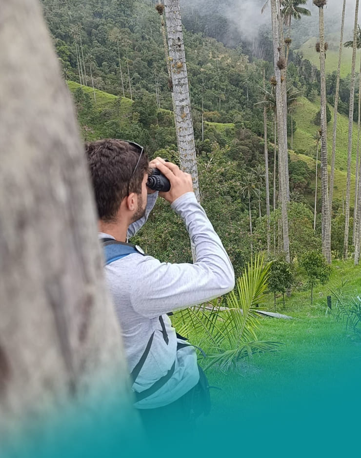 Liviaggi 11 Guia Liviaggi