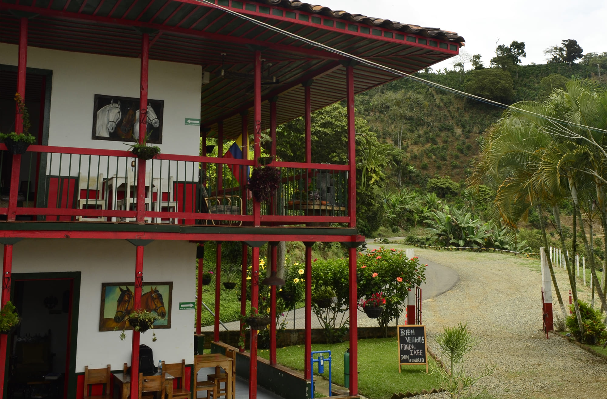 Medellín Eje Cafetero Tayrona 1 Casa Finca Quindío Eje Cafetero