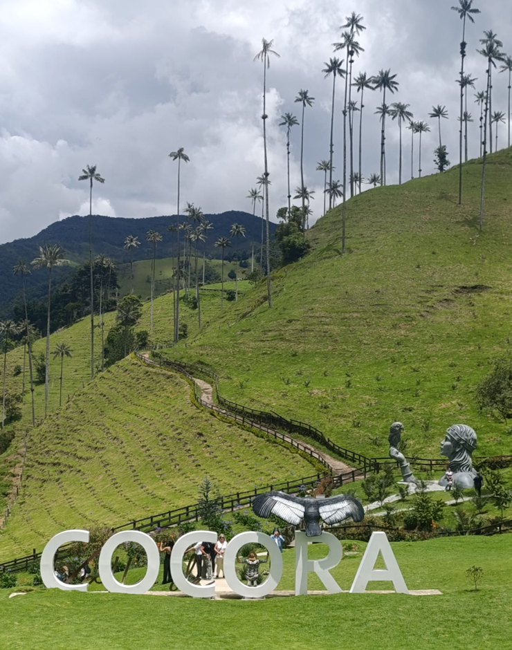 Valle del Cocora
