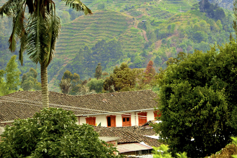 Liviaggi 7 Salento Quindío Multidestino Colombia